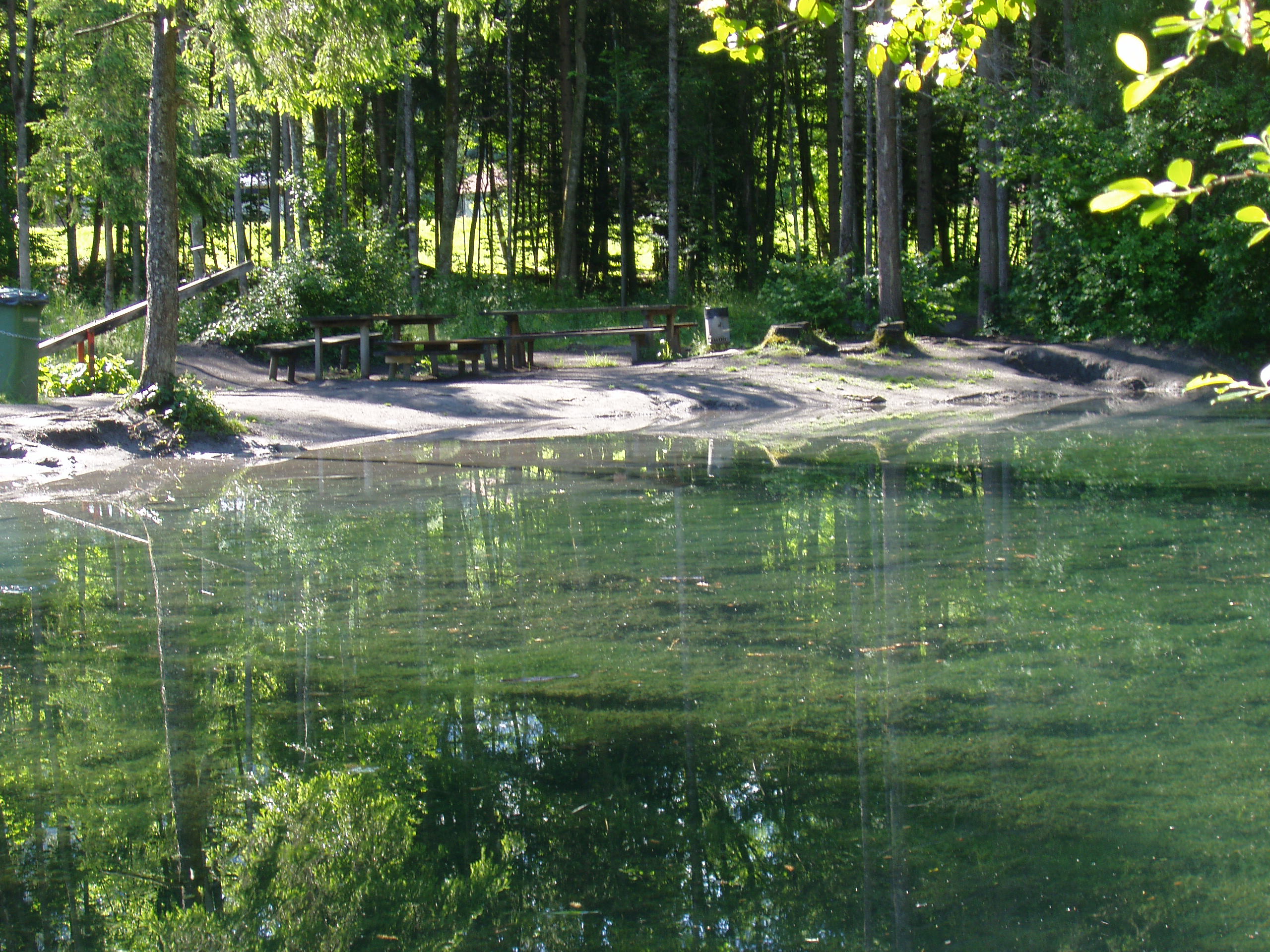 Familien-Grillstelle in der Nähe